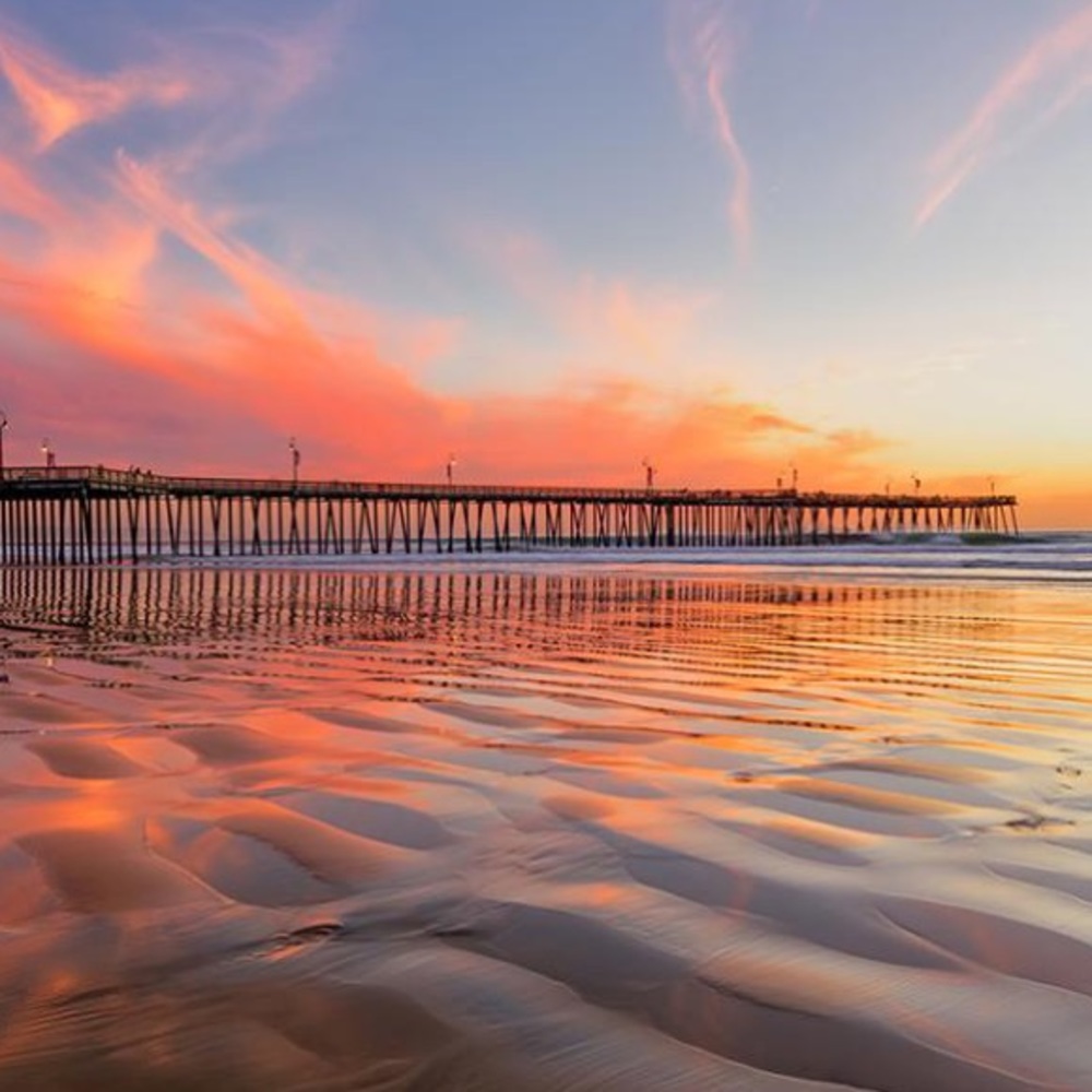 Meet your Posher, Terrence